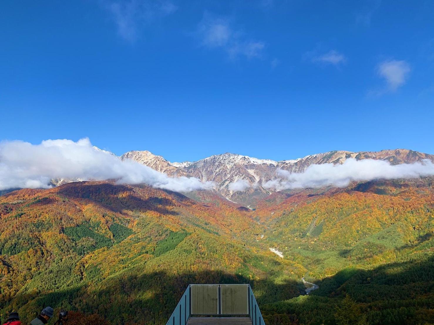 白马旅笼丸八旅馆 公寓