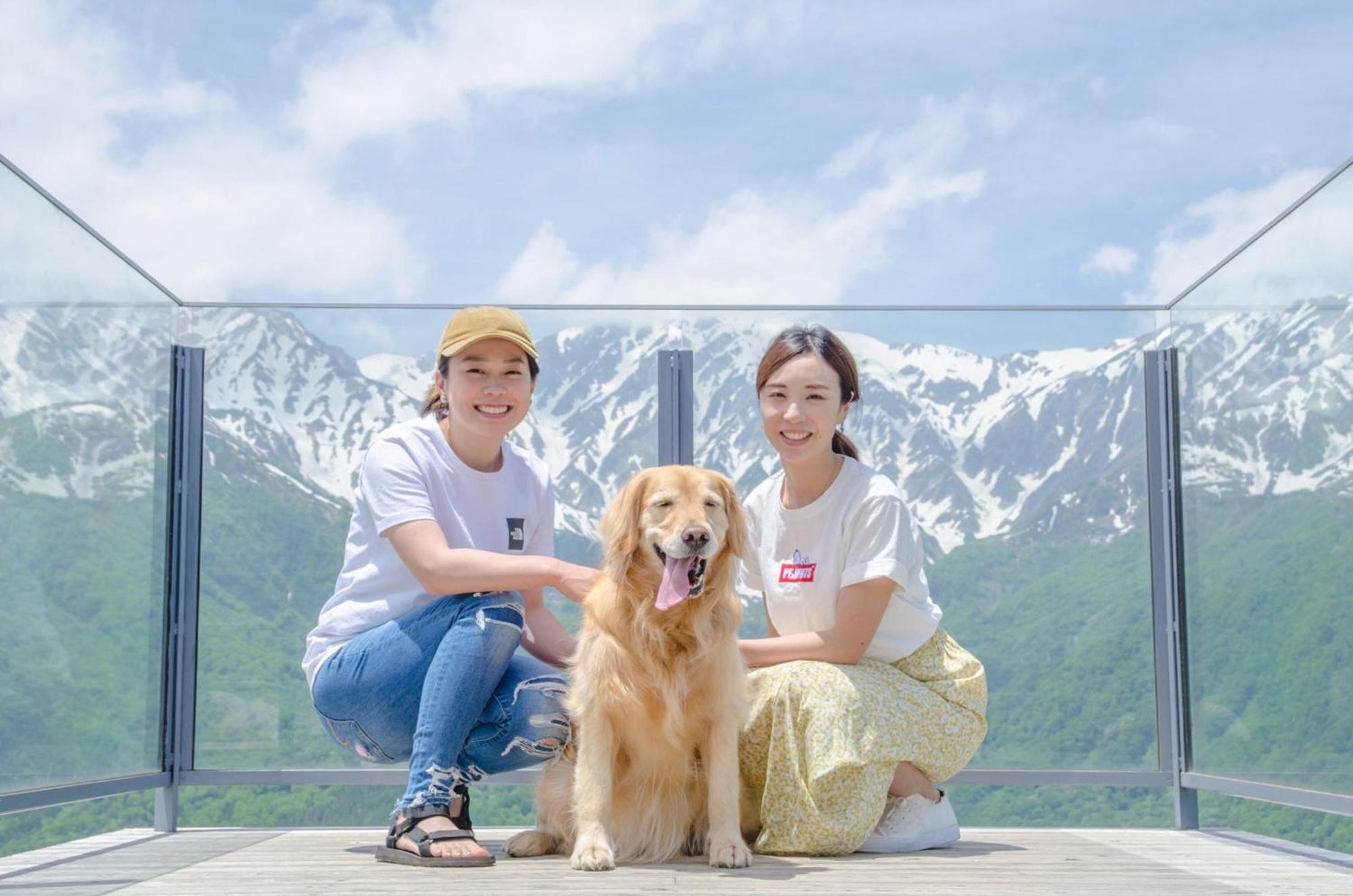 公寓 白马旅笼丸八旅馆 白马村