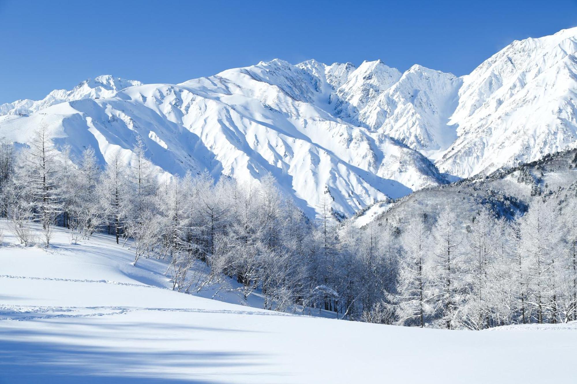 白马旅笼丸八旅馆 公寓